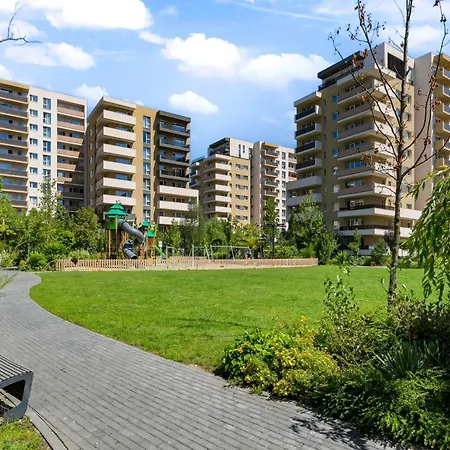 Sb Nest Braşov