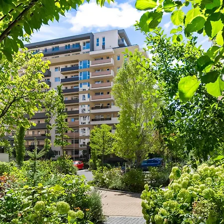 Apartment Sb Nest Brașov